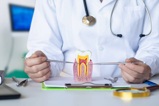 Best Chipped Tooth Repair Near Me  in University Heights, OH
